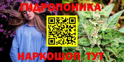 стафф Рязань