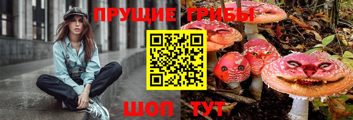 Галлюциногенные грибы MAGIC MUSHROOMS Рубцовск